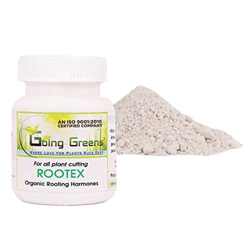Image of Combo of 100% Organic Bonsai Potting Soil Mix (5 kgs) + Rootex (25 GMS)