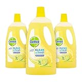 Dettol and Fresh - Detergente multiuso Limone e Lime, 1 litro, confezione da 3