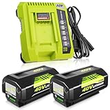 2 Pack Replacement for Ryobi 40V Battery and Charger Compatible with Ryobi 40 Volt Battery Lithium OP4040 OP40401 OP4026 OP40261 OP4050 OP40201 Compatible with 40 Volt Cordless Power Tool (Green)