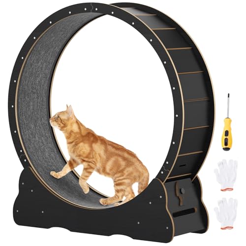 Katzenlaufrad 91cm/100cm, Laufrad für Katzen mit abnehmbarem Teppich & Schloss, leises Katzenlaufband für Indoor-Katzen zur Gewichtsreduktion &...