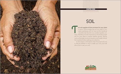 image for Container Gardening for Beginners: A Guide to Growing Your Own Vegetab