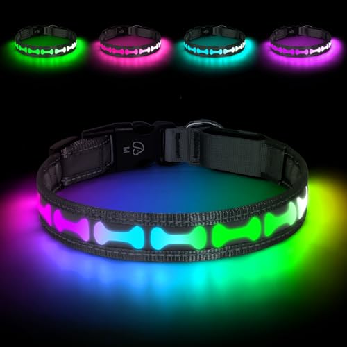 Flashseen LED Dog Collar Light Up USB-C Rechargeable, RGB 7 Colors 3 Modes Glow in The Dark Collar, Adjustable 360° Visibility Glowing Collars for Night Walking for Dogs (Grey, Large)