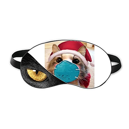 NX}XL}XN\ xݖڂ̎Ռe