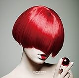 文豪ストレイドッグス