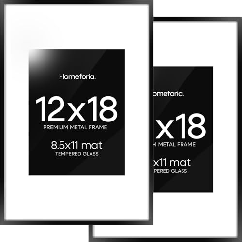Homeforia 12x18 picture frame (set of 2) with matte black metal finish
