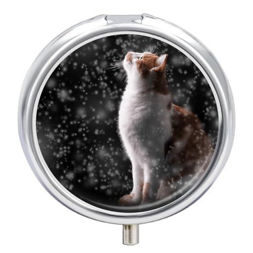 sP[X ~̃lR P[X TvP[X ZT[[  ^[P[X ^ ی^ 3i Ǘ