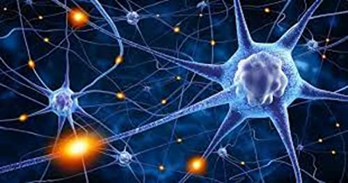 アルツハイマー型認知症の治療方法