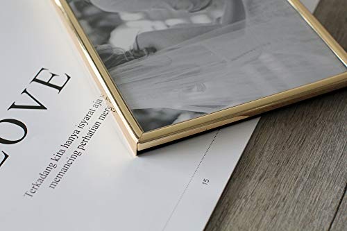 Leadex Double Thin Edge Gold Plated Picture Frame,Horizontal Standing,4 By 6 Inch,Velvet Back Simple Classic Styling #TOP4