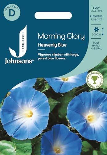 Image of Johnsons Morning Glory Heavenly Blue, Flower Seeds
