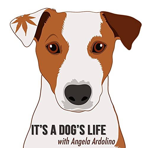 It's A Dog's Life With Angela Ardolino cover art