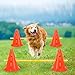 Glimin 10 Sets Dog Agility Hurdle Cone Set 20 Pcs Exercise Cones with 10 Pcs Rods Adjustable Obstacle Portable Agility Training Equipment Canine Pole(Orange and Yellow)