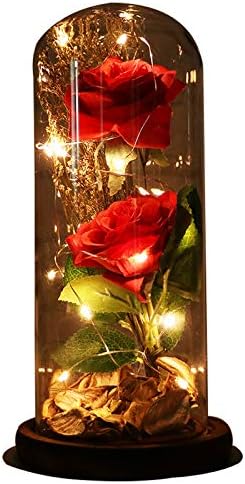MISBEST Beauty and The Beast Rose, Enchanted Rose Artificial Silk Rose Flower in Glass Dome with LED Light Wooden Base for Valentine's Day Wedding Anniversary Birthday Gift