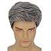 Kaneles Mens Grey Short Wig Synthetic Replacement Costume Halloween Soft Layered Natural Hair Male Wigs (Gray)