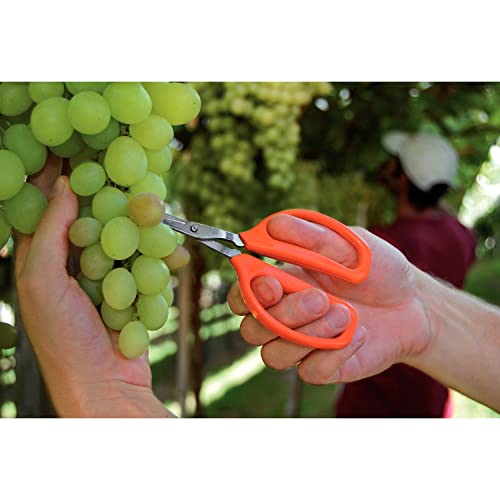 Tramontina Tesoura Para Frutas Profissional, Lâminas Em Aço Inox