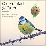 Erdtmanns Meisenknödel mit Netz 100 Stück im Eimer – Wildvogelfutter mit Getreideflocken & Sonnenblumenkernen – für Ganzjahresfütterung – geeignet für Meisen & Co. – wiederverwendbar