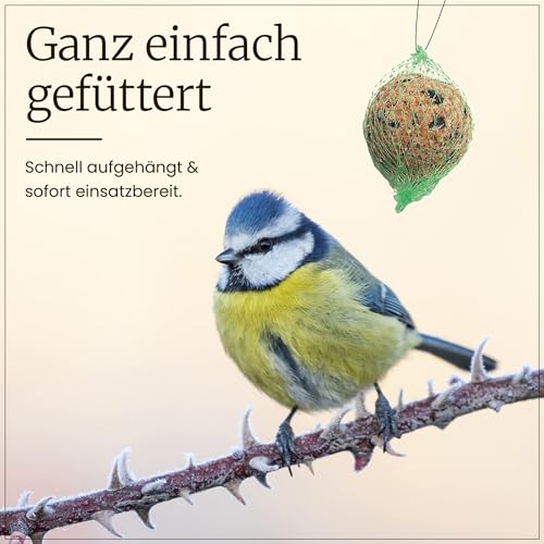 Erdtmanns Meisenknödel mit Netz 100 Stück im Eimer – Wildvogelfutter mit Getreideflocken & Sonnenblumenkernen – für Ganzjahresfütterung – geeignet für Meisen & Co. – wiederverwendbar