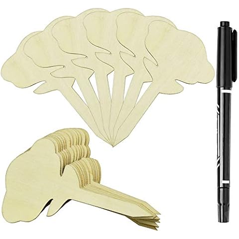 OLRWSLG 60 Stück Pflanzenschilder Holz Pflanzenstecker Schilder Wetterfest Pflanzenetiketten Mini Blütenform Gartenschilder und Marker Stift für Topfpflanzen, Blumen Cover