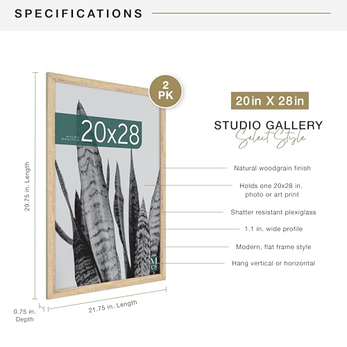 MCS Studio Gallery 20x28 Poster Frame Natural Woodgrain, Vertical & Horizontal Wall Hanging Large Picture Frame for Photos, Posters & Art Prints (2-Pack)