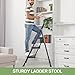 Foldable 3 Step Ladder, Sturdy 3 Step Stool Ladder with Anti-Slip Mats, Portable Lightweight Folding Step Tool, Black