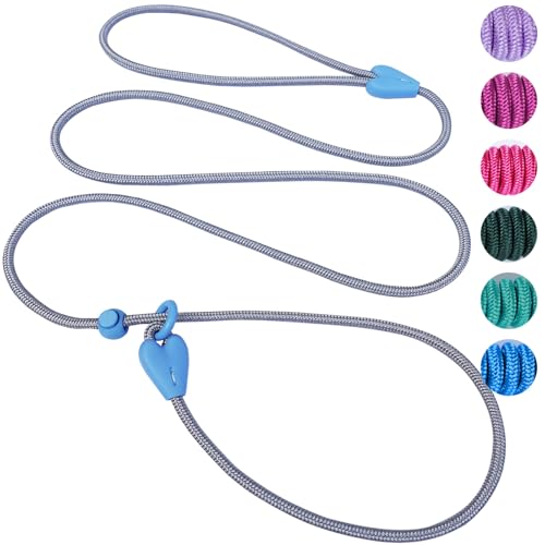 viunimo Slip Lead 6 FT Dog Training Leash (Pack of 2)