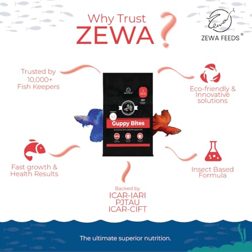 Image of Guppy Bites 1KG | High Protein Fish Food for Guppy & Small Fish | Micro Pellets 0.3-0.6 mm | 88% Digestibility | Rapid Growth & Vibrant Color