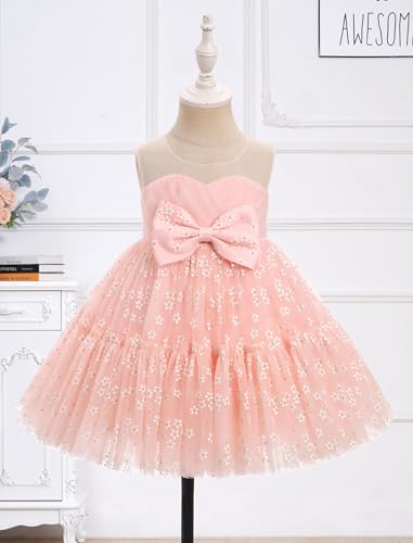 IBTOM CASTLE Toddler Baby Girl Birthday Princess Dress Sleeveless Floral Strawberry Tulle Tutu Dresses Formal Pageant Gown3