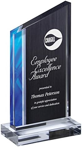 SHOP AWARDS AND GIFTS Art Deco Acrylic Trophy Award Personalized, Customizable Engraved Work Business Corporate Prizes,