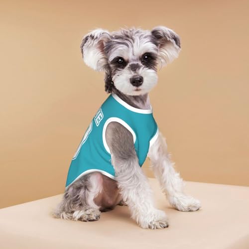 Image of Personalized Girl Dog Clothes, Custom Puppy Clothes, Customized Puppy Shirts with Name and Number, Customizable Dog Jerseys, Pomeranian Accessories, Costume for Dogs, Puppies Birthday Gifts