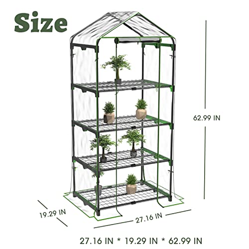 BLUU Small Plant Greenhouses Kit Outdoor Indoor with 4 Tiers Shelves