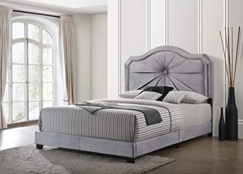 Acme Frankie Queen Bed - - Gray Velvet #TOP1