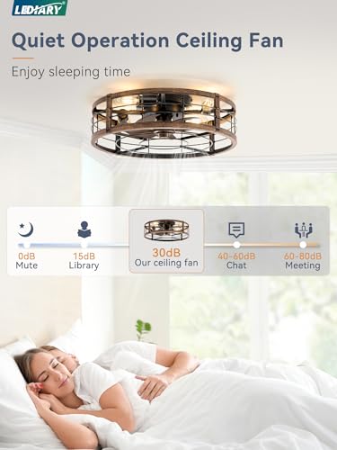 Image of LEDIARY 20 inch Caged Ceiling Fan with Light and Remote, Low Profile Flush Mount Fandelier, Black Gold Bladeless Enclosed Small Ceiling Fan Light Fixtures, Rustic Farmhouse Style for Bedroom, Outdoor