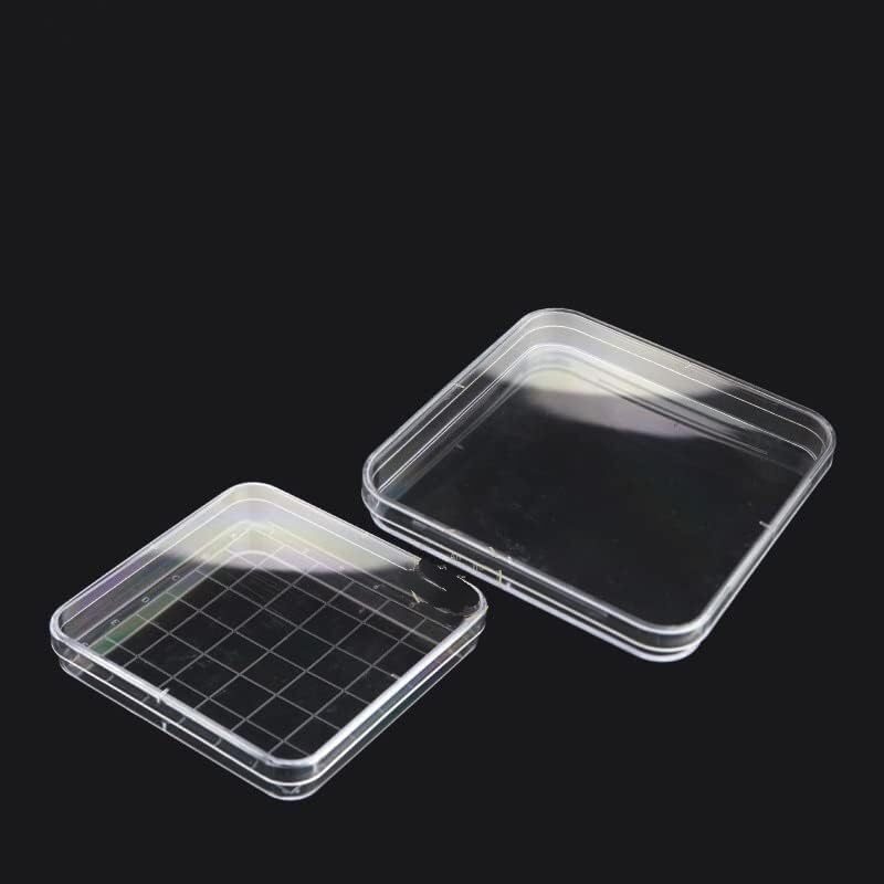 10 unidades/lote de placas de Petri de plástico estériles for cultivo de bacterias, for material escolar científico y biológico de laboratorio (tamaño: 90 mm, dos rejillas).(150mm One Lattice)