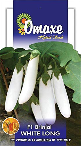 Omaxe Seeds Brinjal Eggplant F1 White Long Vegetable seeds Kitchen Garden Packet (B07MSK7HT7) Amazon Price History, Amazon Price Tracker
