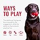 KONG – SafeStix – Robustes Apportierspielzeug aus Flexiblem, Sicherem Material – Für Kleine Hunde