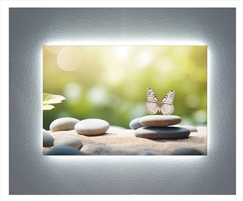 Tableau méthacrylate décoratif papillon éclairage latéral LED mural