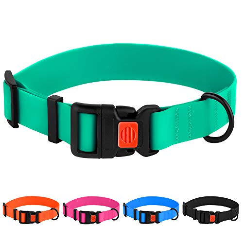 Find The Best Dog Collar For Water Reviews & Comparison Katynel