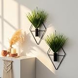 Canlierr 4 Pcs Wall Decor Hanging Planters with Artificial Plants Metal Hanging Vase Indoor Plants Holder Modern Boho Wall Art for Bathroom Bedroom Living Room Decor(Black,Aquatic Plant)