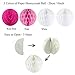 ZERODECO Birthday Party Decoration, Happy Birthday Banner with Paper Fans, Honeycomb Balls, Triangular Pennants, Circle Paper Garland, Hanging Swirls and Balloons - Pink, Rose Red and White