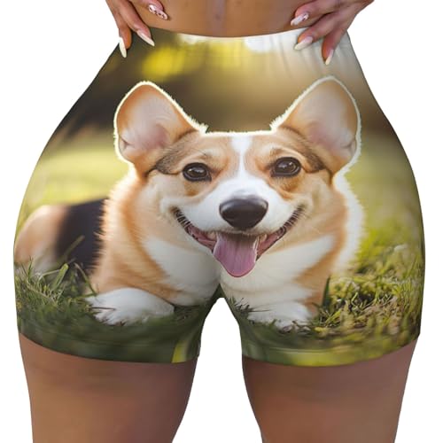 Women's Ladies Compression Athletic Shorts for Running Yoga 2025 Pilates Shorts