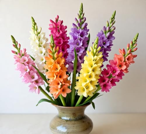 Flortand Garden® Imported Flower Bulbs for Home and Gardening Rajnigandha Flower Bulbs PACK OF 5 BULBS