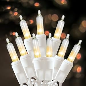 Christmas Lights 100 Count Clear Christmas Tree String Lights with White Wire for Outdoor Indoor Christmas Decorations Wedding Decorations Valentines Day Decor,UL Certified (21feet)