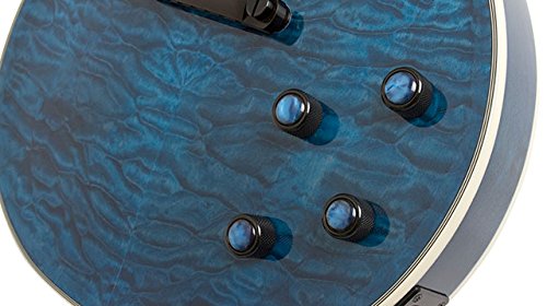 Epiphone Prophecy Les Paul Custom Plus EX Outfit (EMG 81/85