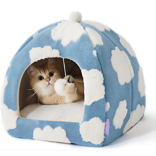 cat beds