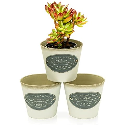 Pack of 3 Vintage Succulent Cactus Planters,Rustic Country Style Round Plastic Flower Pot Container - Indoor or Outdoor Decor Cover