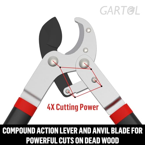 The Darlac Compact Compound Anvil Loppers Review of 2024