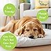 Tailbop Disposable Pet Bed Covers, Fits All Dog and Cat Beds or Mats, Rectangular or Round. Waterproof, Odor and Dirt Resistant, 100% Recyclable, 3 Pack (L-XL)
