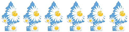 Image of LITTLE TREES 076171673473 Daisy Fields Hanging Paper Tree for Home or Car, 6 Pack