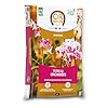Or Brun Terreau Orchidées - 6L - Favorise La Croissance - Utilisable en Agriculture Biologique OBRTORC6U