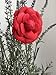 Vintage Style Elegant Camellia Fabric Flower Brooch Pin Scarf Bridal Dress Wedding Accessories Jewelry Gift (Red wool)