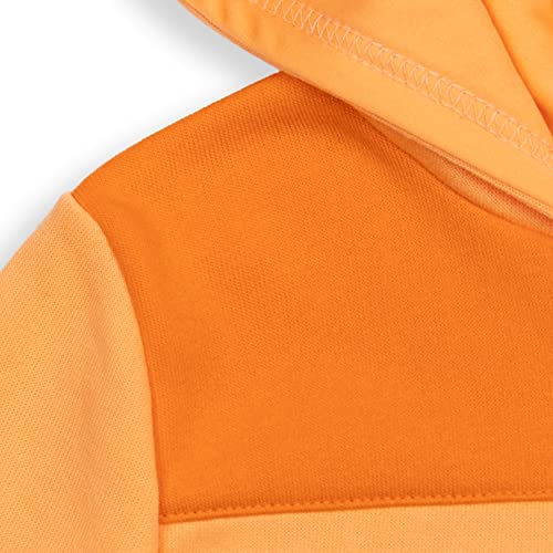 Image of Bluey Boys' Fleece Quarter-Zip Hoodie Toddler to Big Kid
